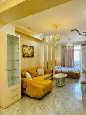 Apartment near Saakadze square, centre of Tbilisi